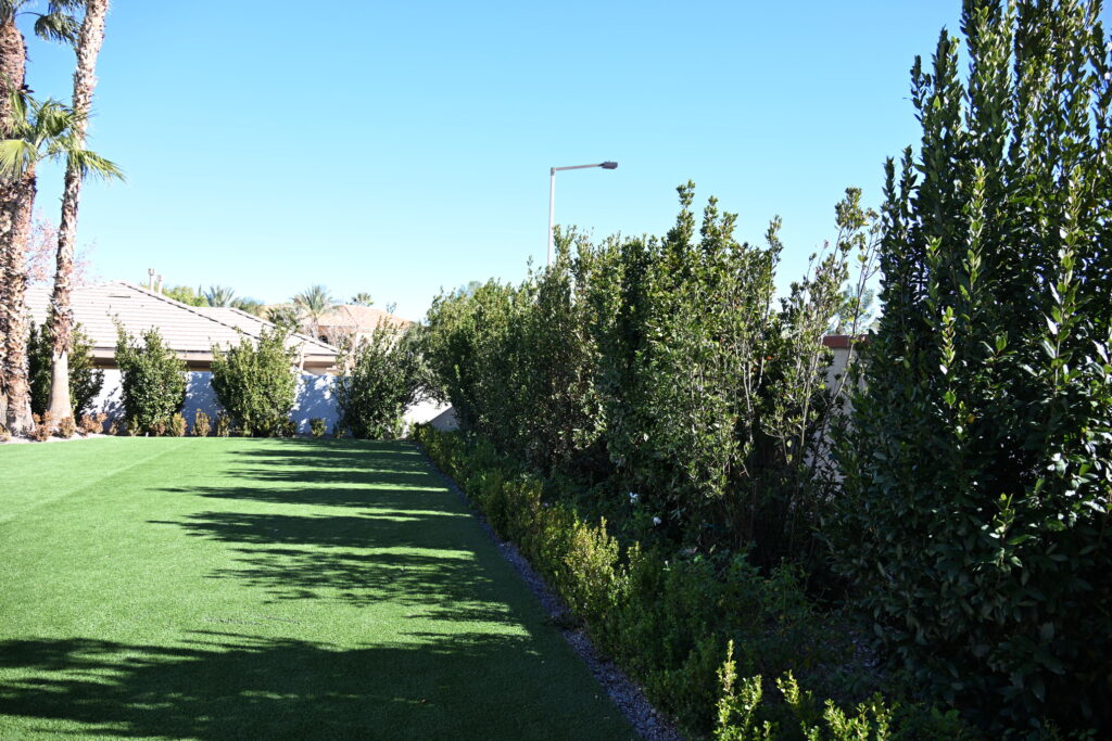 Photo Jan 01 2023, 12 02 48 AM