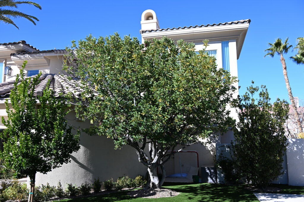 Photo Jan 01 2023, 12 04 21 AM