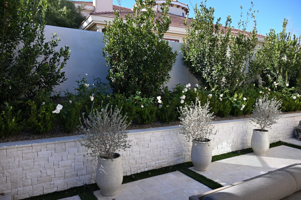 Photo Jan 01 2023, 12 08 08 AM